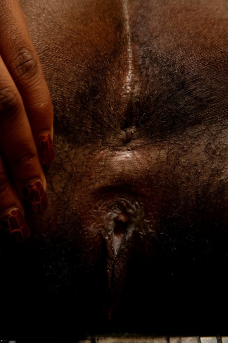 Jhazira negra desnudos mejores fotos